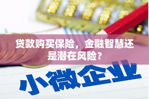 镜湖贷款购买保险，金融智慧还是潜在风险？