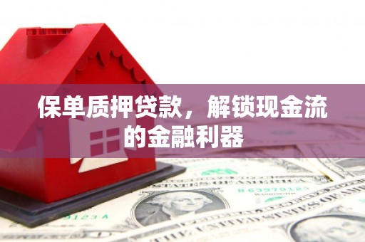 镜湖保单质押贷款，解锁现金流的金融利器
