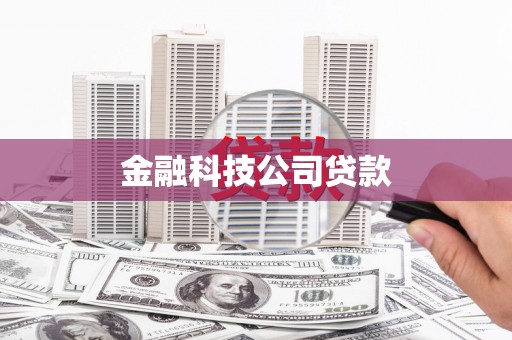 镜湖金融科技公司贷款