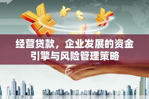 镜湖经营贷款，企业发展的资金引擎与风险管理策略