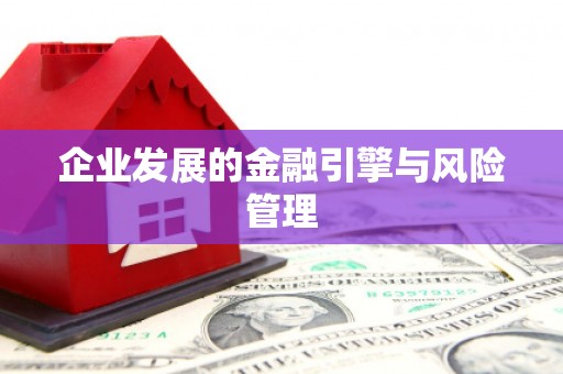 镜湖企业发展的金融引擎与风险管理