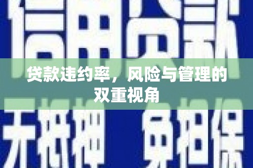 镜湖贷款违约率，风险与管理的双重视角