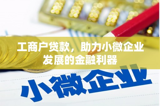 镜湖工商户贷款，助力小微企业发展的金融利器