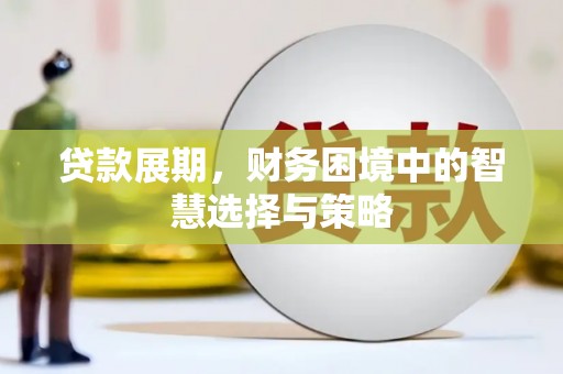 镜湖贷款展期，财务困境中的智慧选择与策略