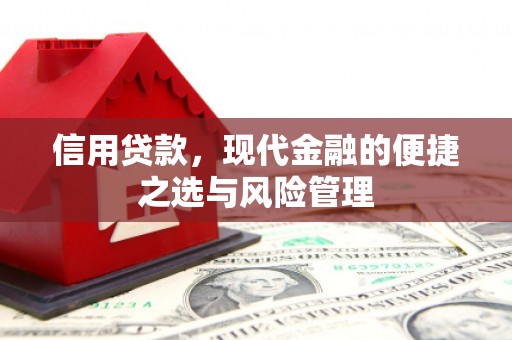 镜湖信用贷款，现代金融的便捷之选与风险管理