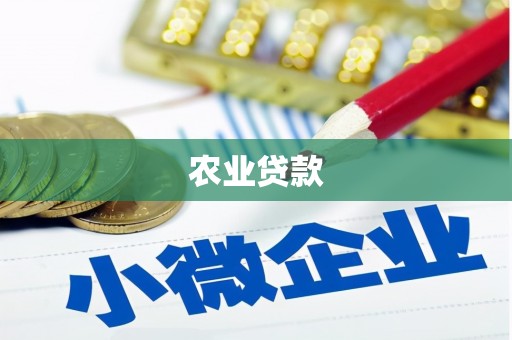 镜湖农业贷款