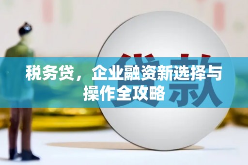 镜湖税务贷，企业融资新选择与操作全攻略