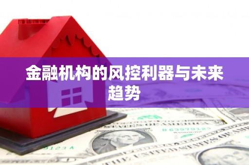 镜湖金融机构的风控利器与未来趋势