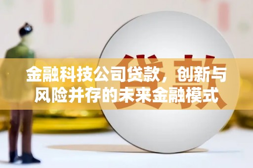 镜湖金融科技公司贷款，创新与风险并存的未来金融模式