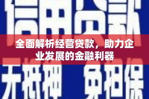 镜湖全面解析经营贷款，助力企业发展的金融利器