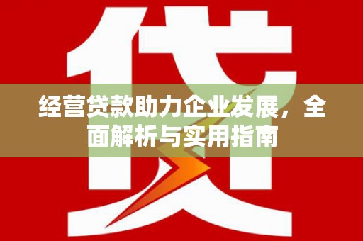 镜湖经营贷款助力企业发展，全面解析与实用指南