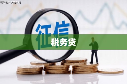 镜湖税务贷