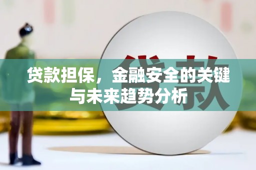 镜湖贷款担保，金融安全的关键与未来趋势分析