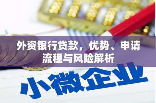 镜湖外资银行贷款，优势、申请流程与风险解析