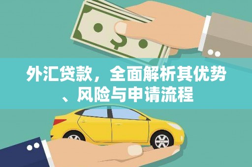 镜湖外汇贷款，全面解析其优势、风险与申请流程