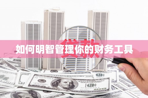 镜湖如何明智管理你的财务工具
