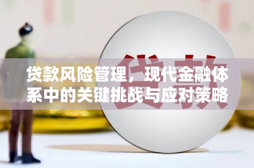 镜湖贷款风险管理，现代金融体系中的关键挑战与应对策略