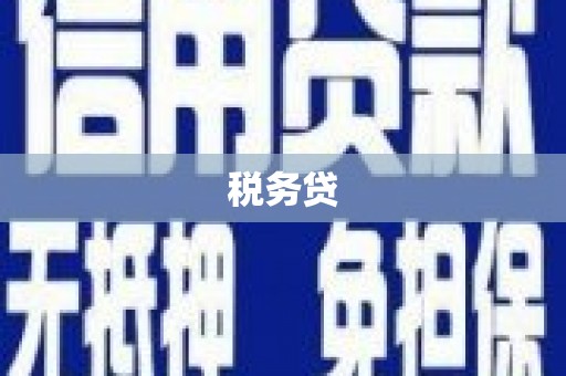 镜湖税务贷