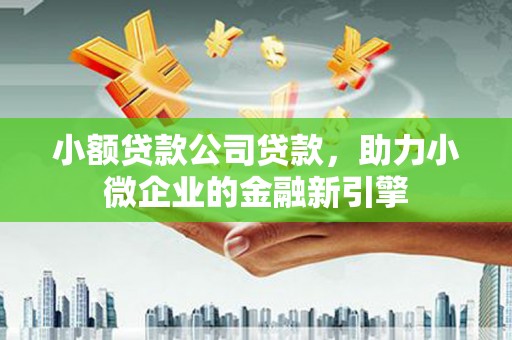 镜湖小额贷款公司贷款，助力小微企业的金融新引擎