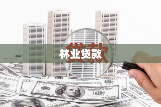 镜湖林业贷款
