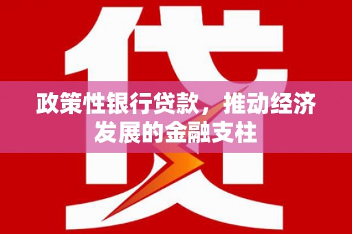 镜湖政策性银行贷款，推动经济发展的金融支柱