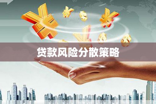 镜湖贷款风险分散策略