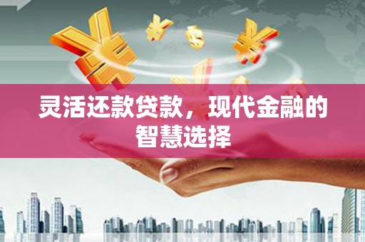 镜湖灵活还款贷款，现代金融的智慧选择