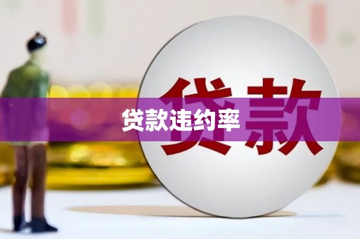 镜湖贷款违约率
