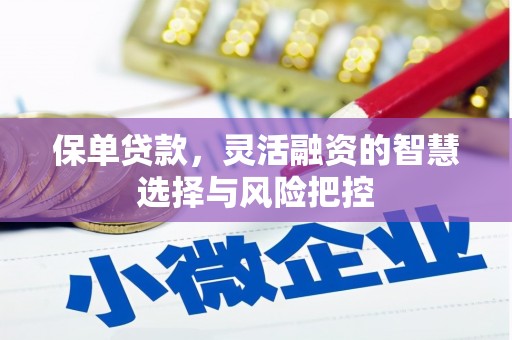 镜湖保单贷款，灵活融资的智慧选择与风险把控