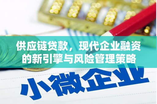 镜湖供应链贷款，现代企业融资的新引擎与风险管理策略