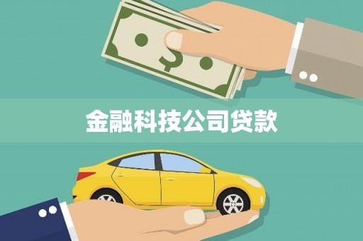 镜湖金融科技公司贷款