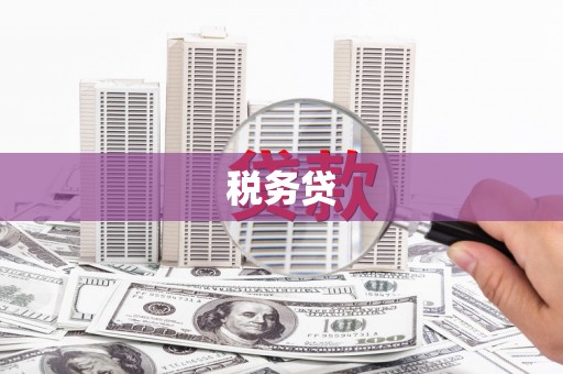 镜湖税务贷