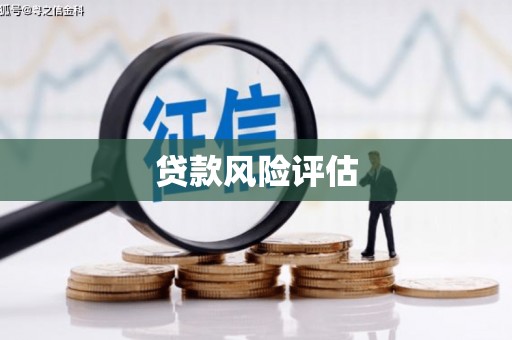 镜湖贷款风险评估