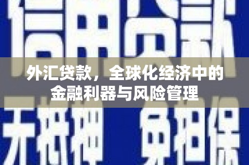 镜湖外汇贷款，全球化经济中的金融利器与风险管理