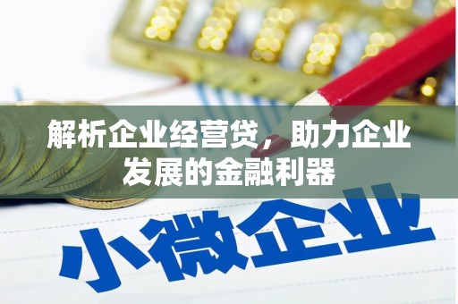 镜湖解析企业经营贷，助力企业发展的金融利器