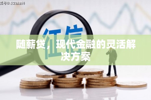 镜湖随薪贷，现代金融的灵活解决方案