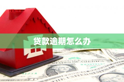 镜湖贷款逾期怎么办