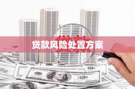 镜湖贷款风险处置方案