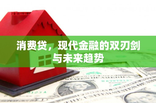 镜湖消费贷，现代金融的双刃剑与未来趋势