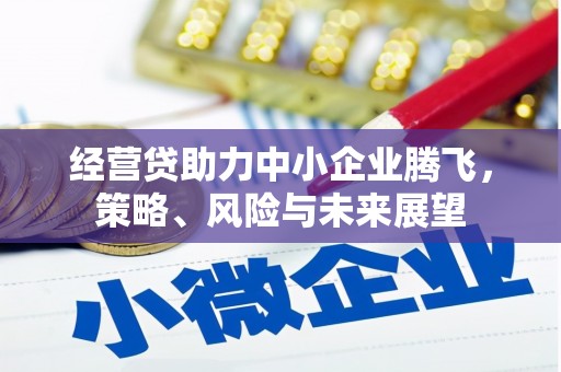 镜湖经营贷助力中小企业腾飞，策略、风险与未来展望