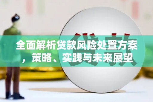 镜湖全面解析贷款风险处置方案，策略、实践与未来展望