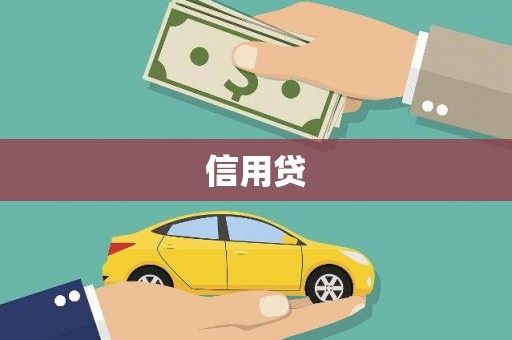 镜湖信用贷
