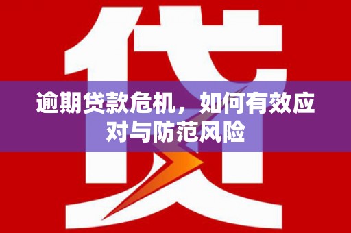 镜湖逾期贷款危机，如何有效应对与防范风险