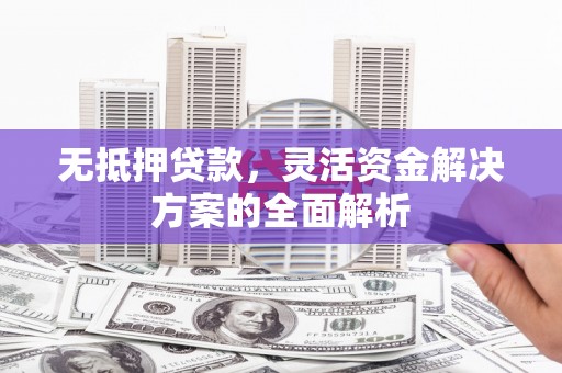 镜湖无抵押贷款，灵活资金解决方案的全面解析