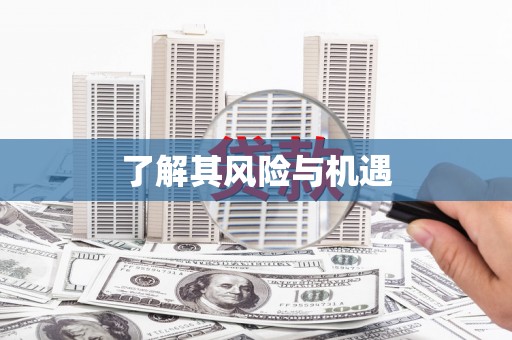 镜湖了解其风险与机遇