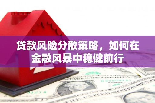 镜湖贷款风险分散策略，如何在金融风暴中稳健前行