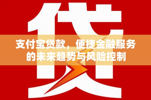 镜湖支付宝贷款，便捷金融服务的未来趋势与风险控制