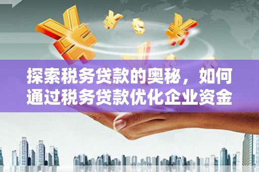镜湖探索税务贷款的奥秘，如何通过税务贷款优化企业资金流