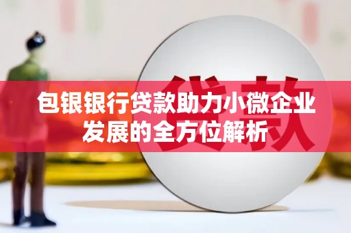 镜湖包银银行贷款助力小微企业发展的全方位解析