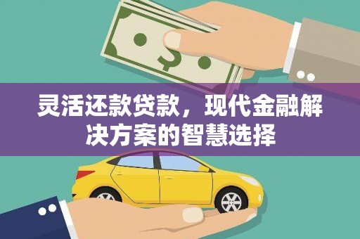 镜湖灵活还款贷款，现代金融解决方案的智慧选择